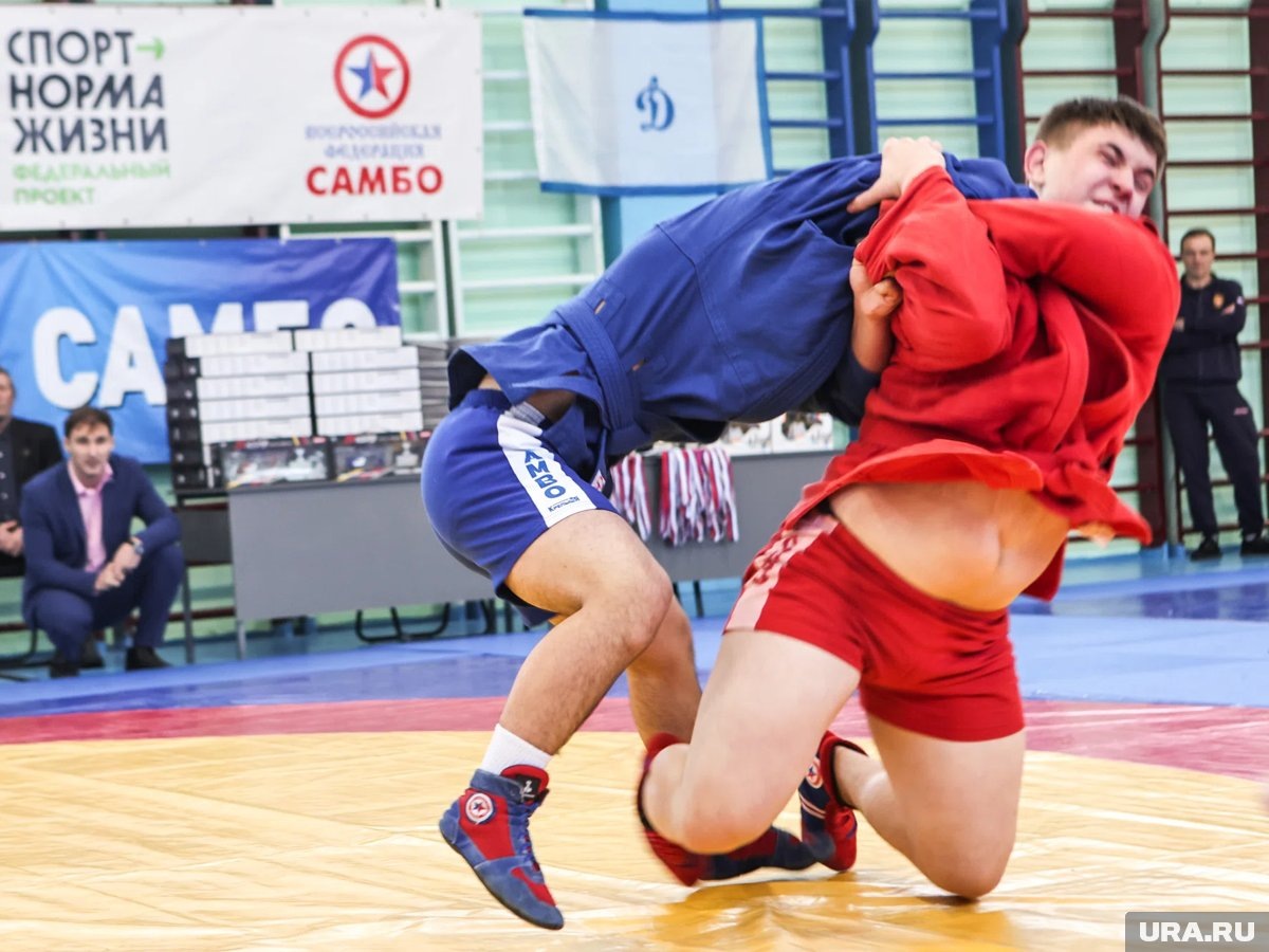     Курган примет отбор на Первенство России по самбо
