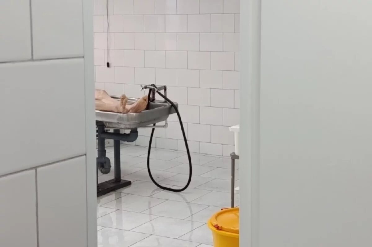    В прозекторской царит идеальная чистота