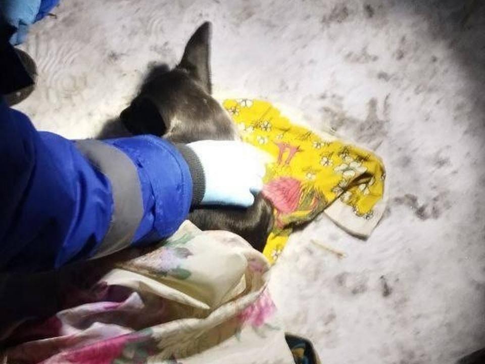    Фото: МЧС Кузбасса.