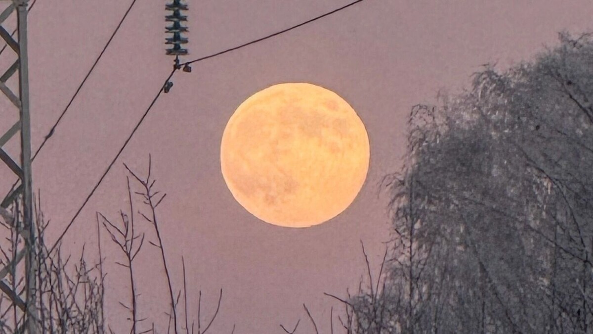   vk.ru/ruslan_rybakov_photo