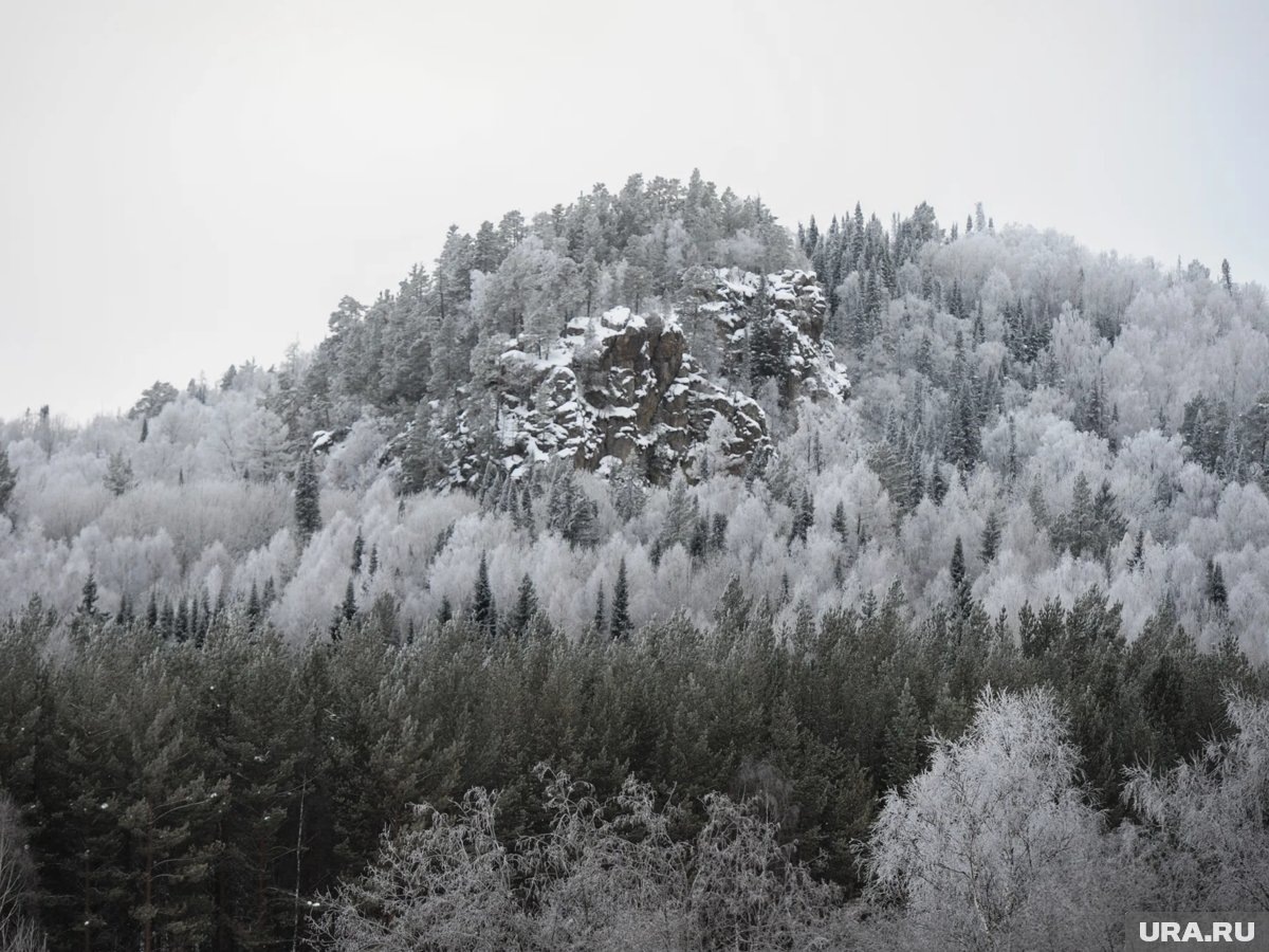     Следователи предположили, что Усольцевы могли направиться на гору Мальвинка, где находился «камень желаний»