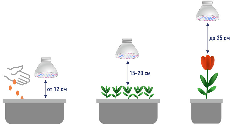 свобод.источник