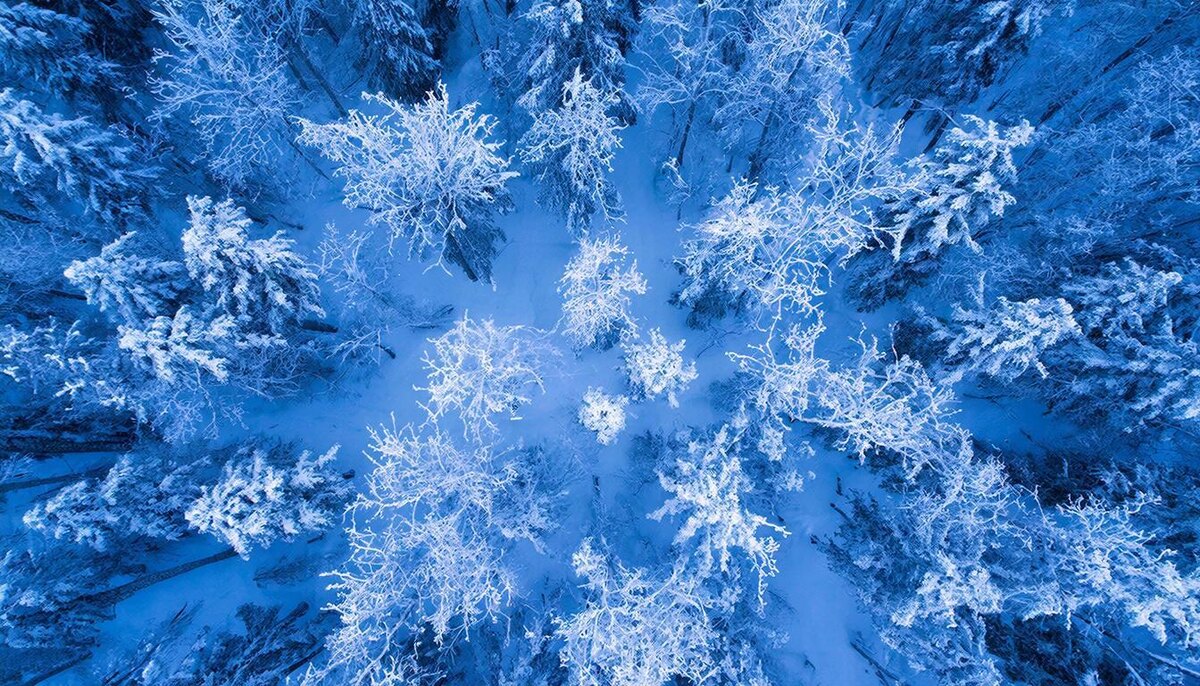 День для наведения порядка, структуры и дисциплины в наступившем году.