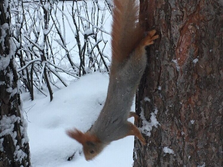    Фото Виктории Поповой