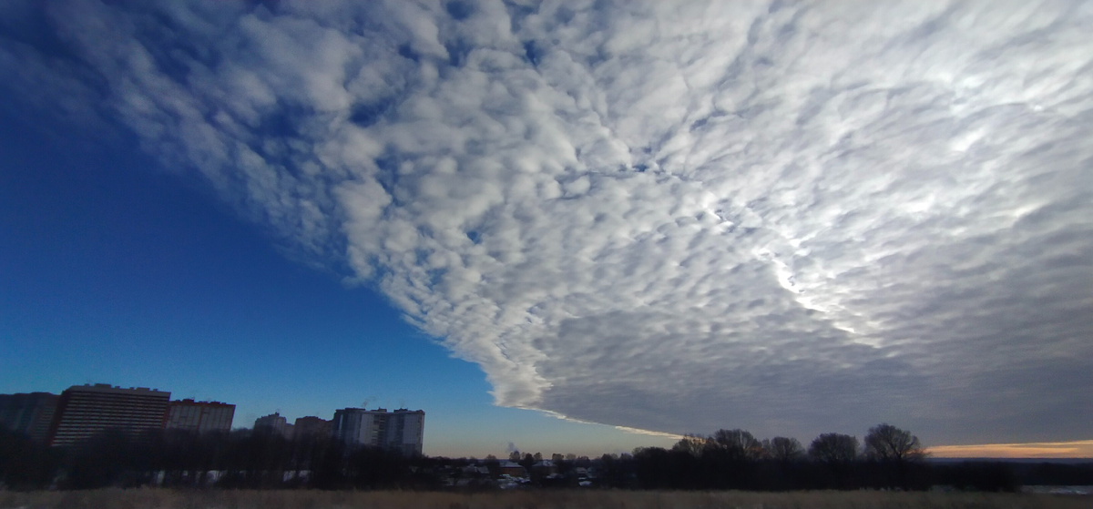 Личное фото