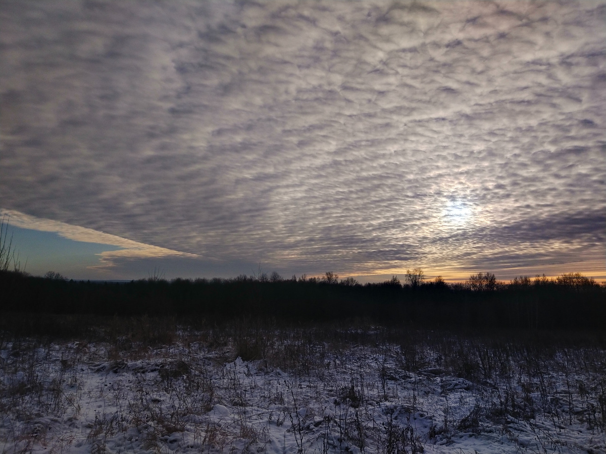 Личное фото