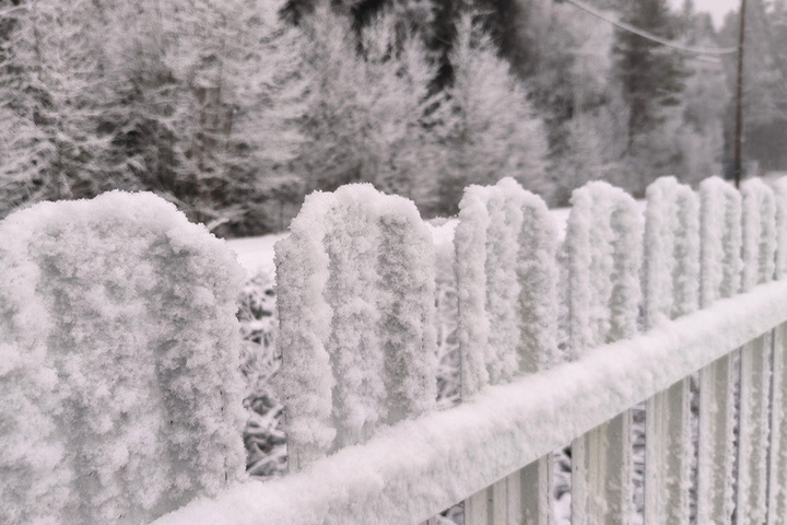 Пропавшая семья Усольцевых искала таинственный камень