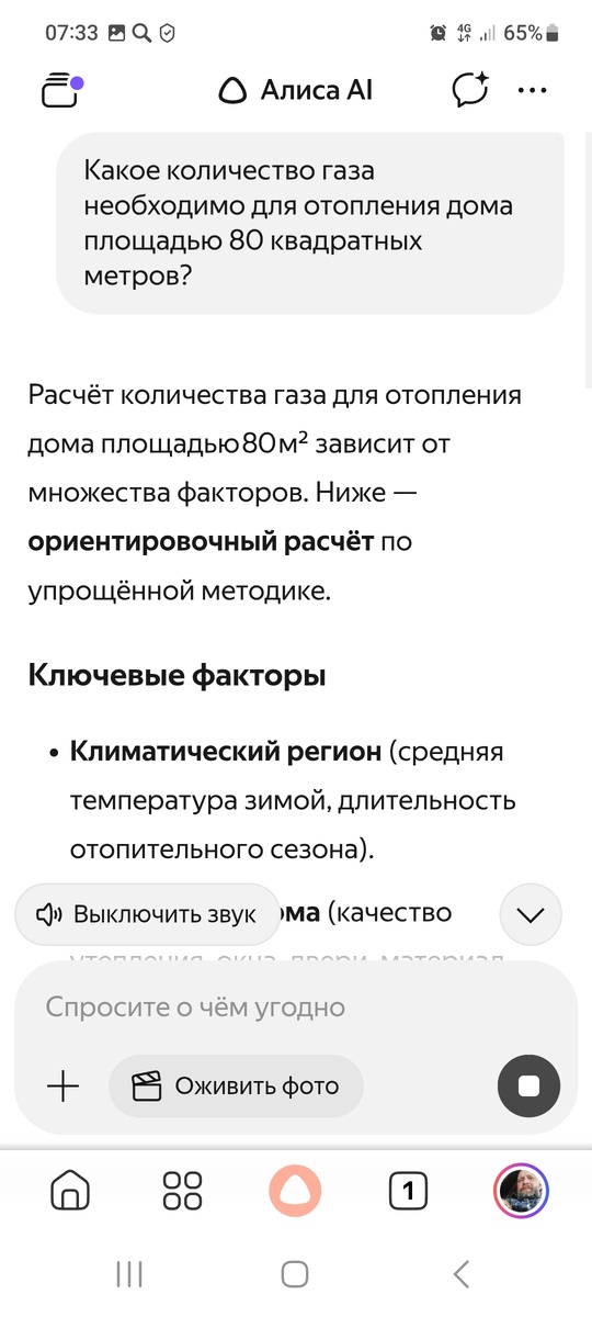 Алиса не врёт!