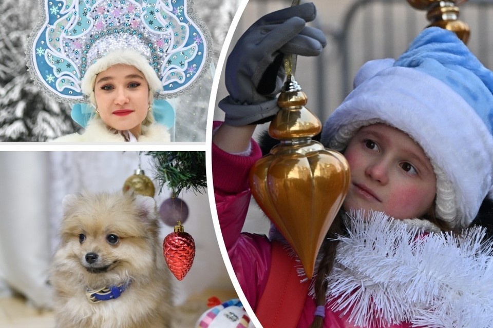    Фото: Макеев Иван, Владимир Веленгурин, Килькин Артем