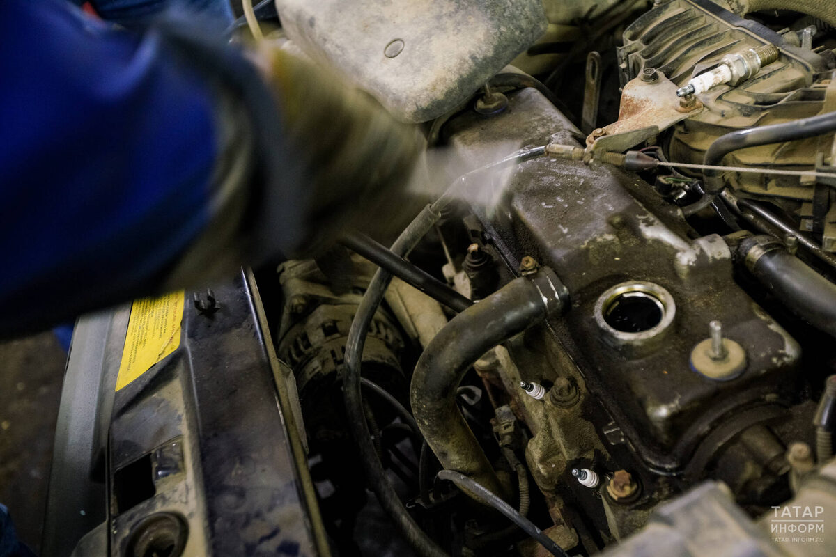 Фото: © Салават Камалетдинов / «Татар-информ»