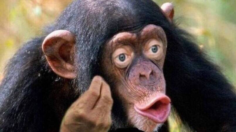 "...О чём мне с тобой говорить, человек?!"