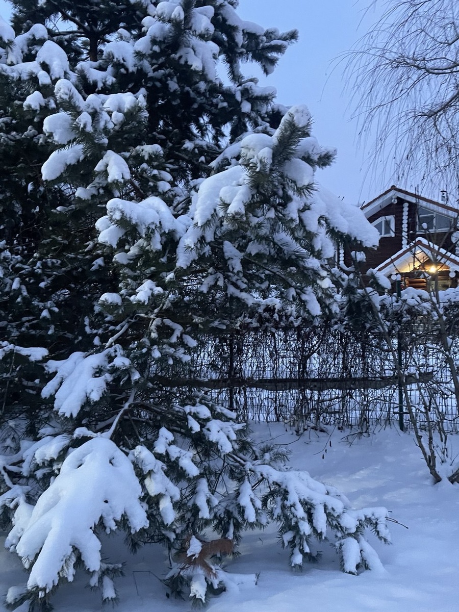 Сказочное утро. 