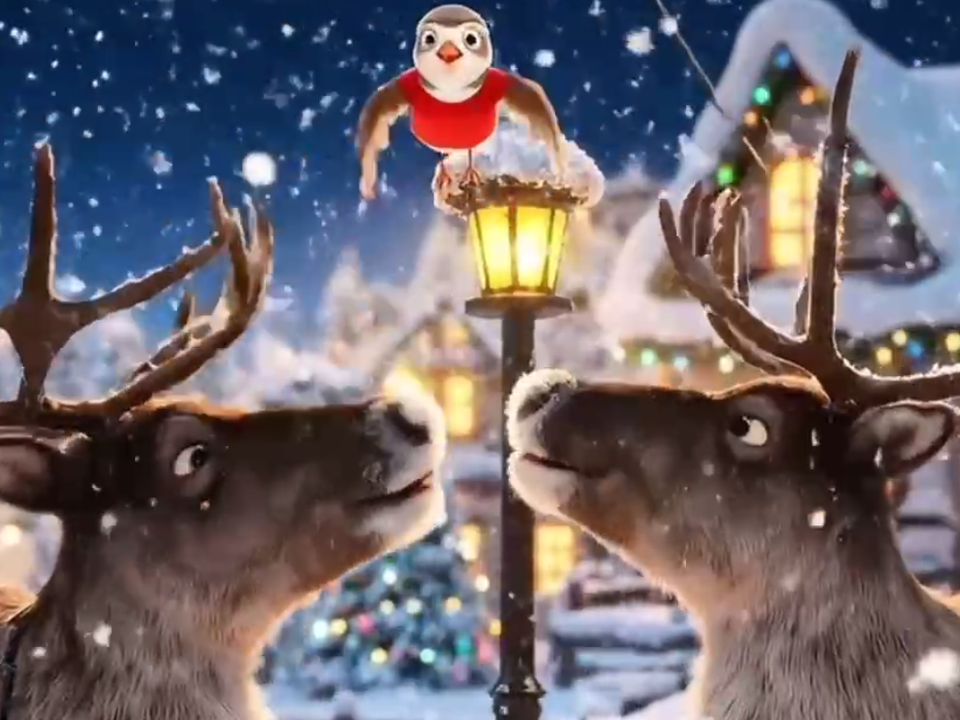    Фото: телевидение «Аист»