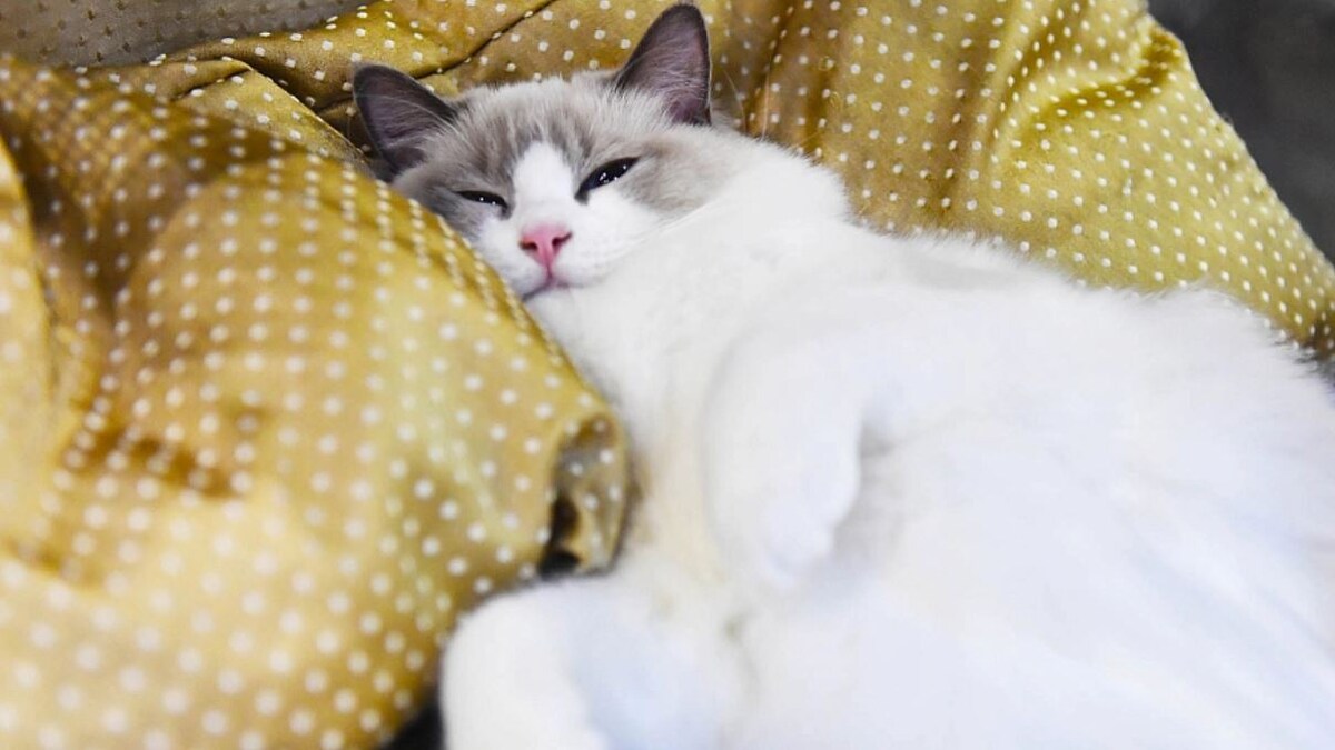 
Наталья Селиверстова/РИА Новости