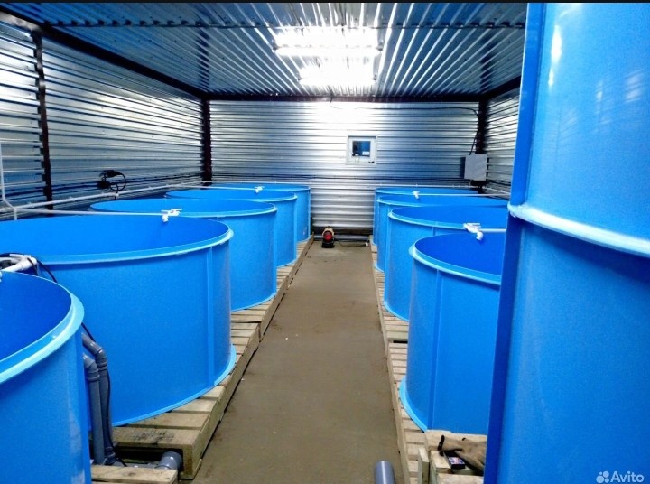 УЗВ для форели на 1 тонну рыбы.