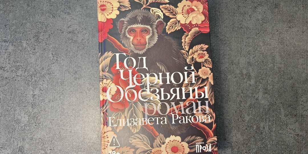 Раз сестричка, два сестричка: увлекательная семейная сага