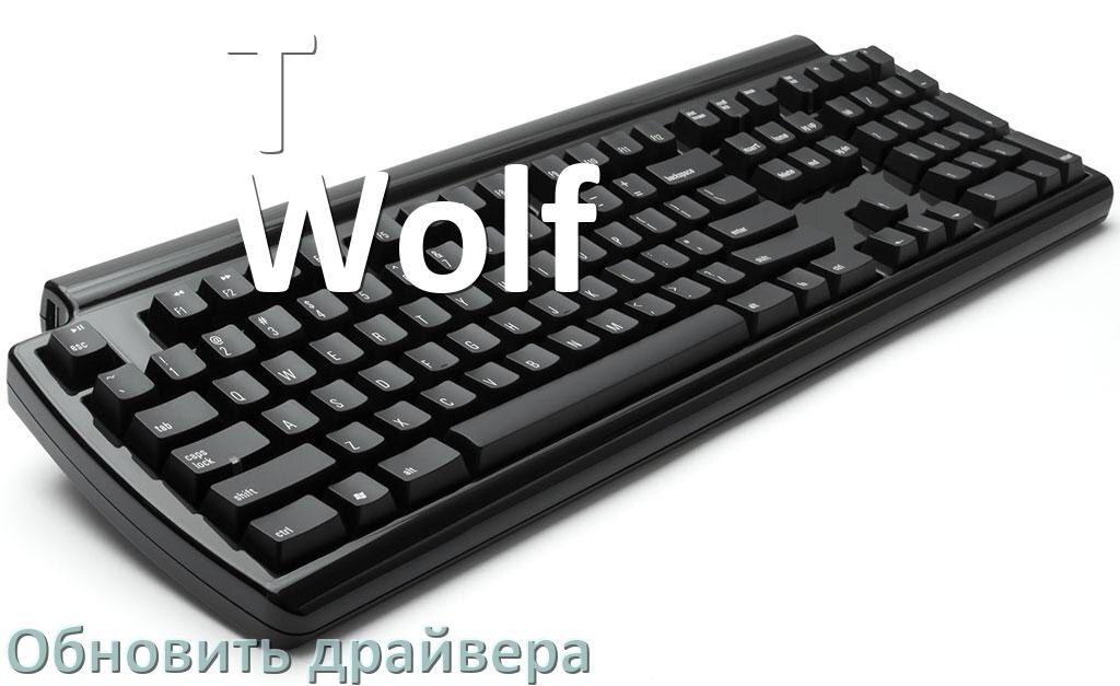 
Как обновить драйвер клавиатуры T-Wolf и установить в Windows 11 и 10