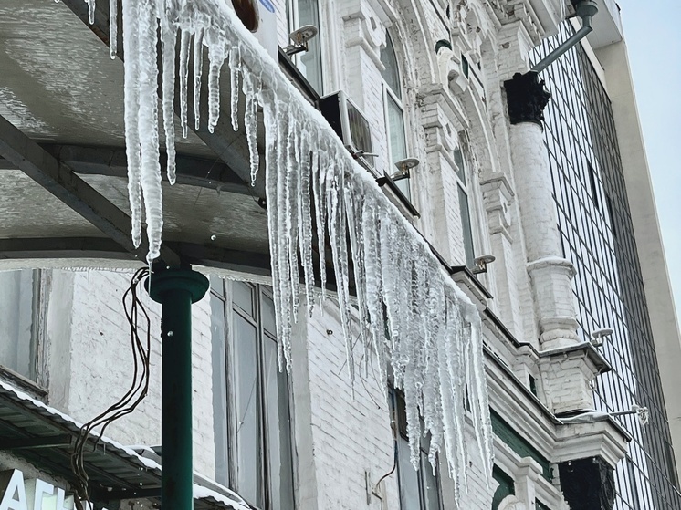     Фото: Сергей Климушев