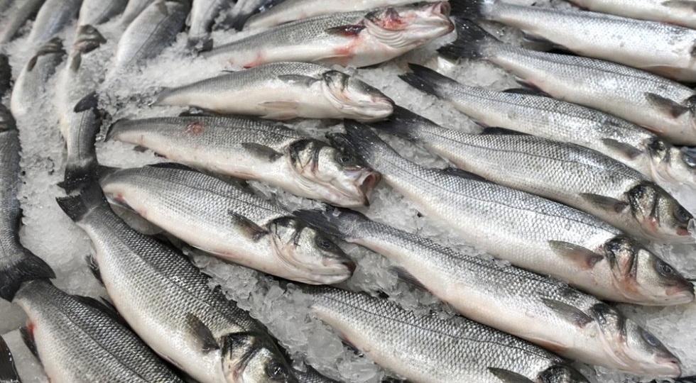 Назван топ самых подорожавших и подешевевших продуктов в 2025 году