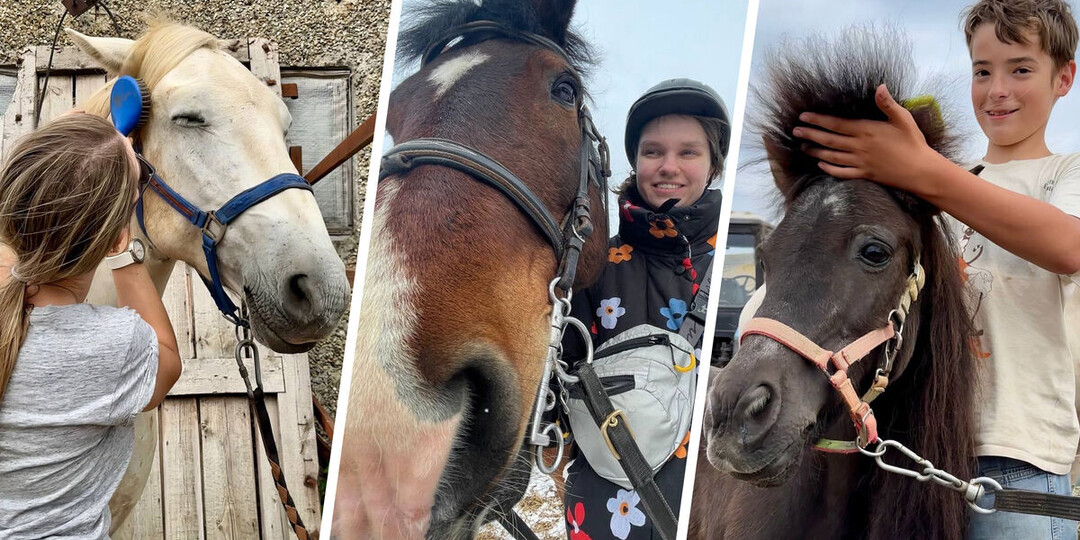 В табуне они находят любовь. Как лошади и люди помогают друг другу