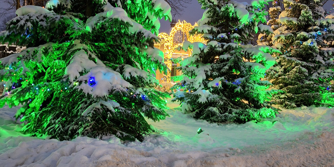 Вот такое начало года