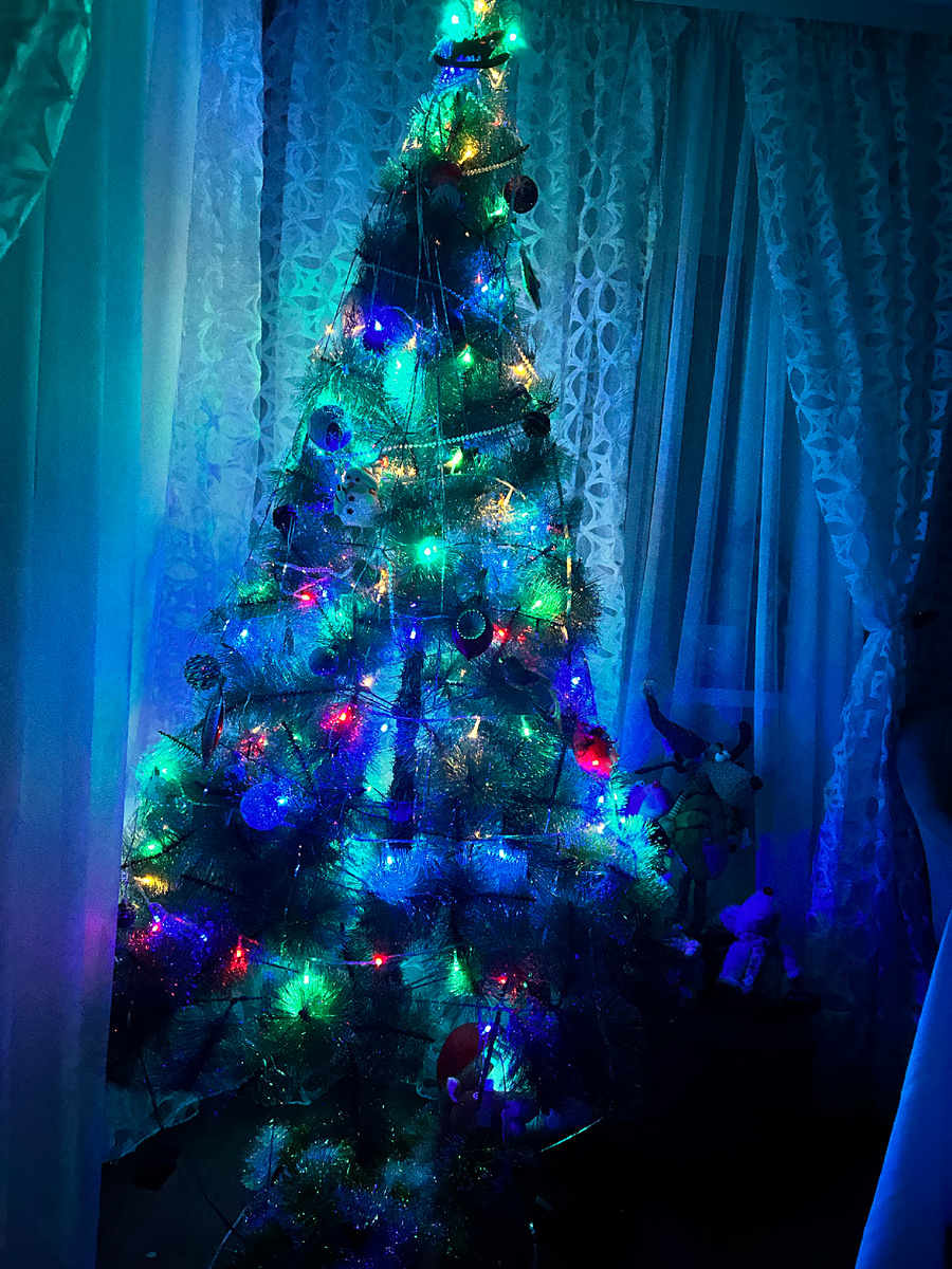 Наша елочка