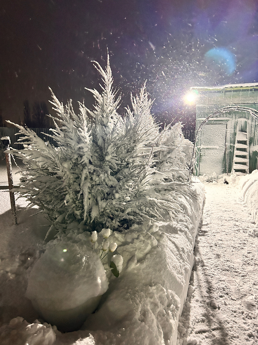 Фото автора