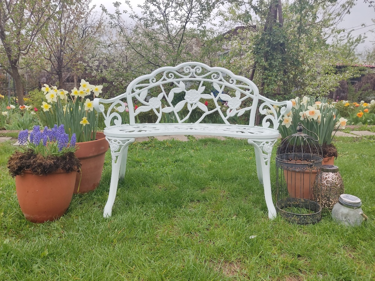 В моём контейнерном саду много первоцветов, нарциссов и тюльпанов, но сажаю я их в положенные сроки - в октябре