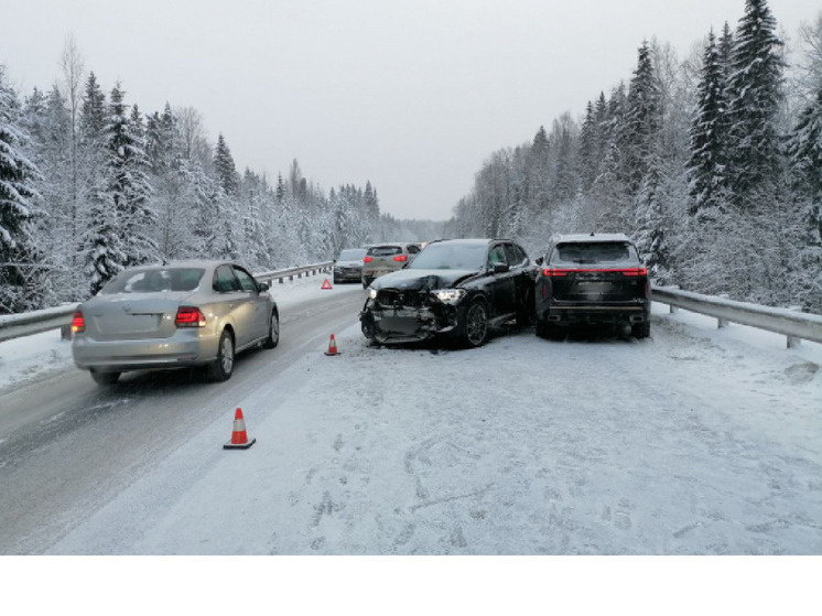     Фото: Госкомитет Карелии по безопасности населения