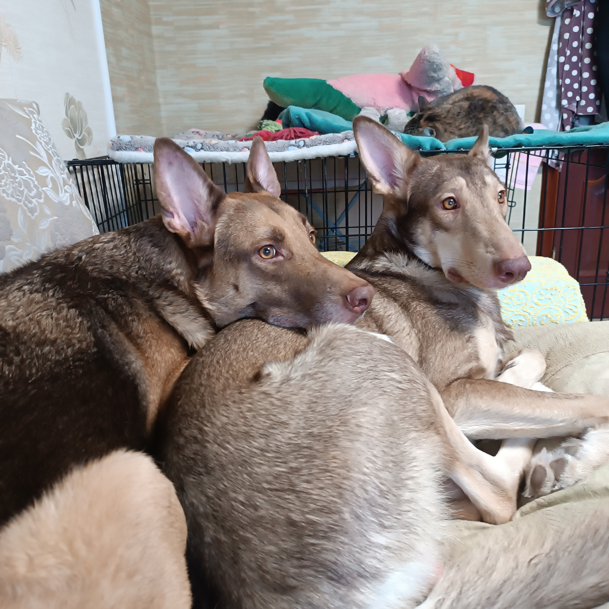 Мои красавчики 