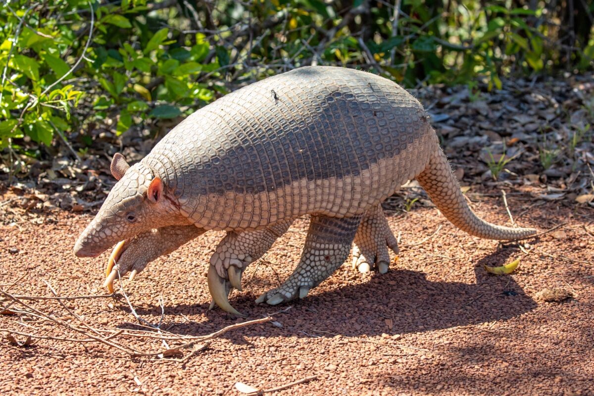 Фото с сайта: https://ru.pinterest.com/pin/326511041753623926/