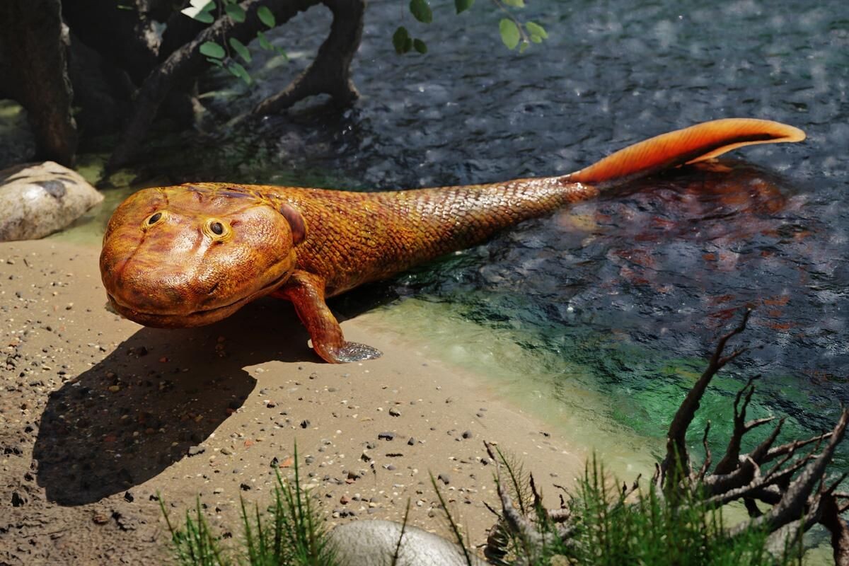 Фото с сайта: https://ecoportal.su/news/view/130257.html