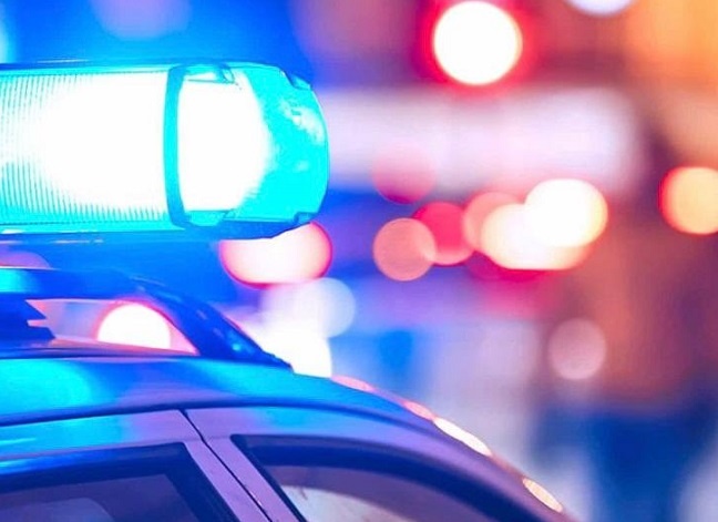    Фото сайта https://www.freepik.com Редактор