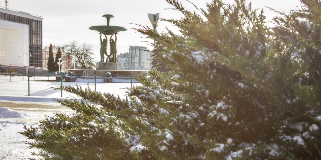 Дождливое воскресенье в Ростове: синоптики предупреждают о сырой погоде и сильном ветре