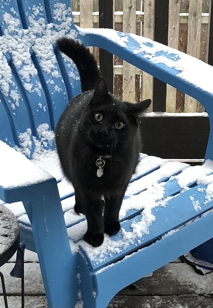 иллюстрация из яндекс картинки