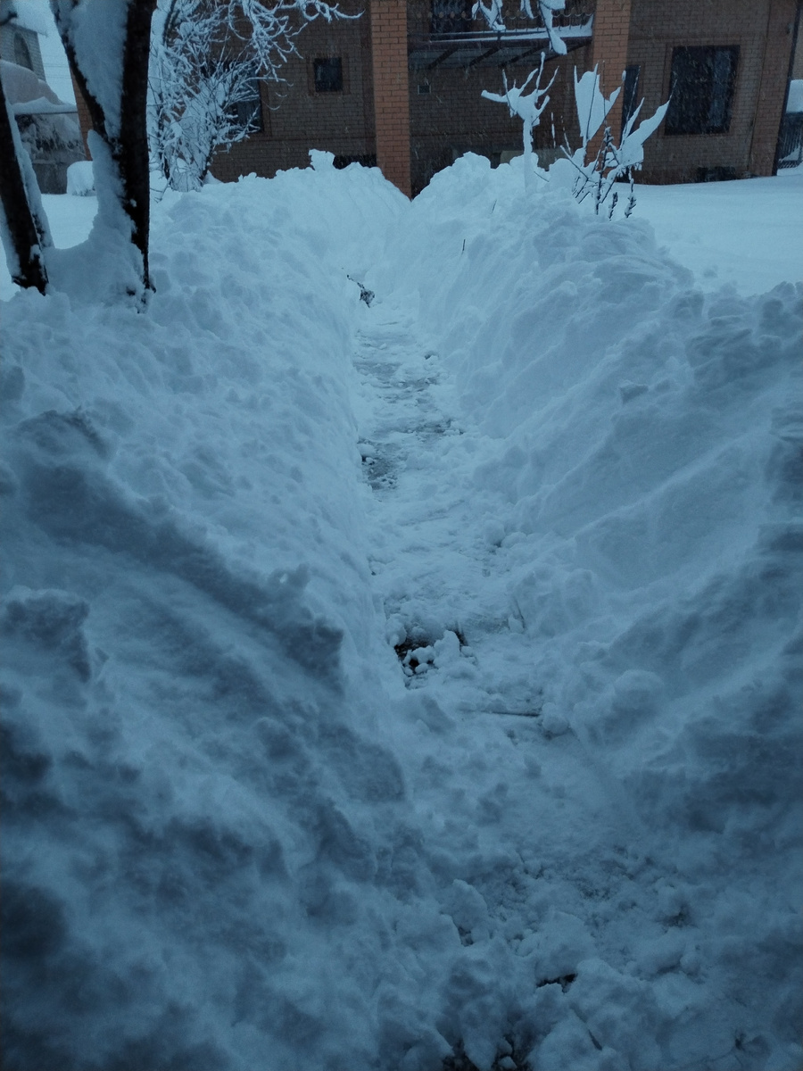 Снег, снежок 31 декабря 2025г.