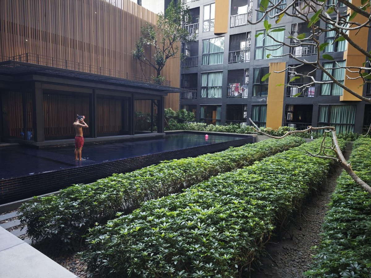 Бассеин снизу