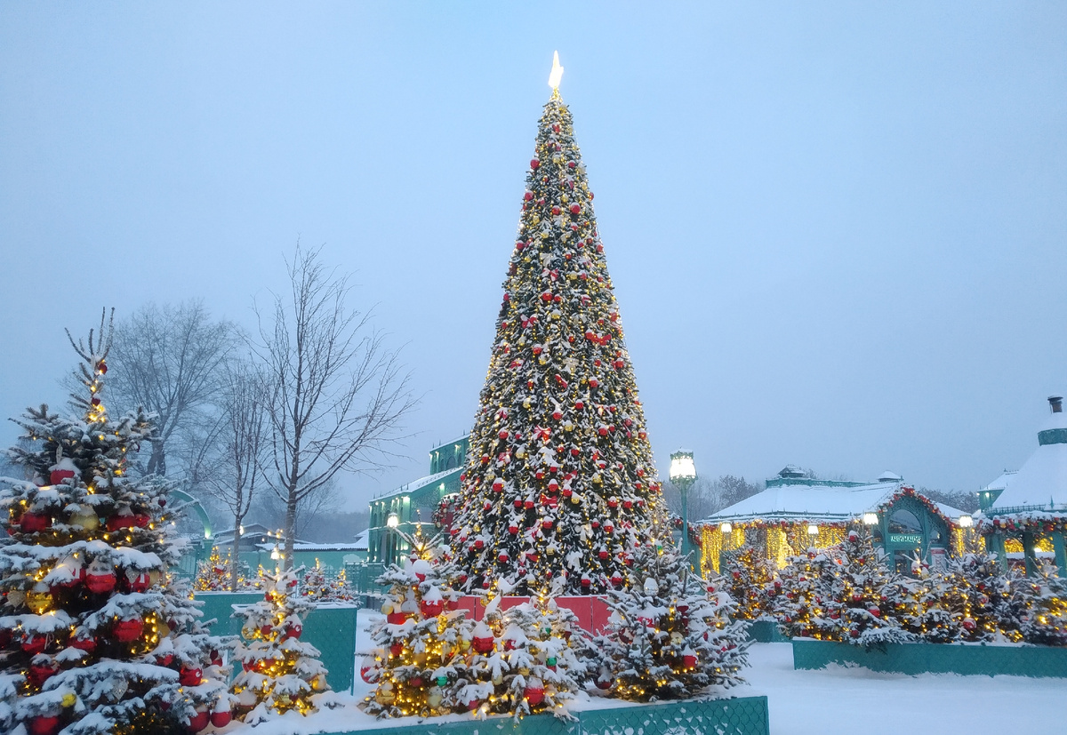 Ёлка в Коломенском г. Москва, фото автора