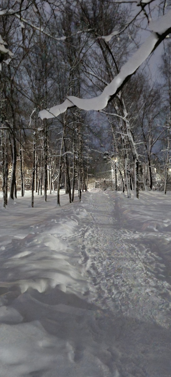 А снег все-таки выпал ))) фото 03.01.2025