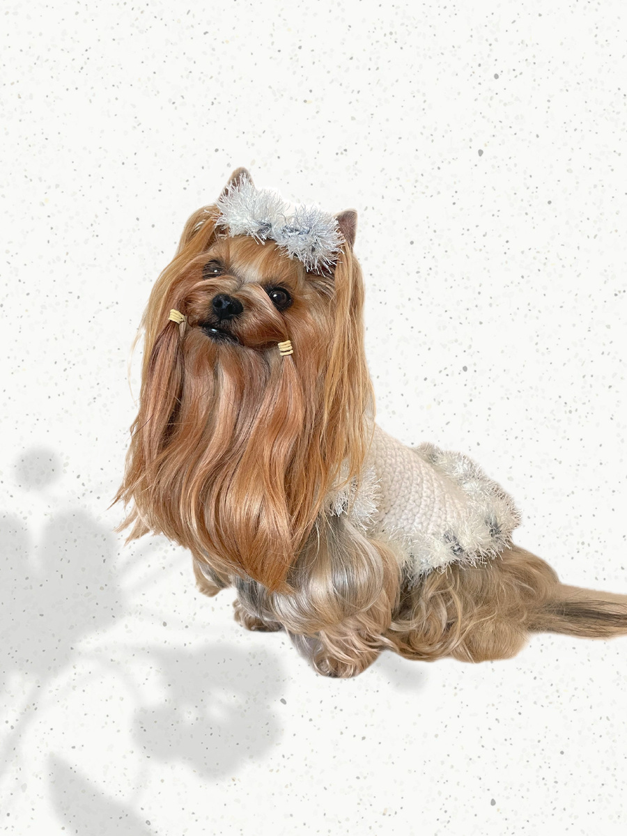 Можно связать на любую породу собак и кошек . 