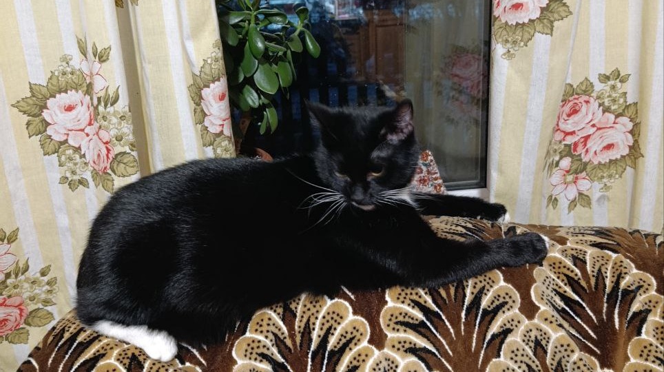 Часть 731. Немного новостей)