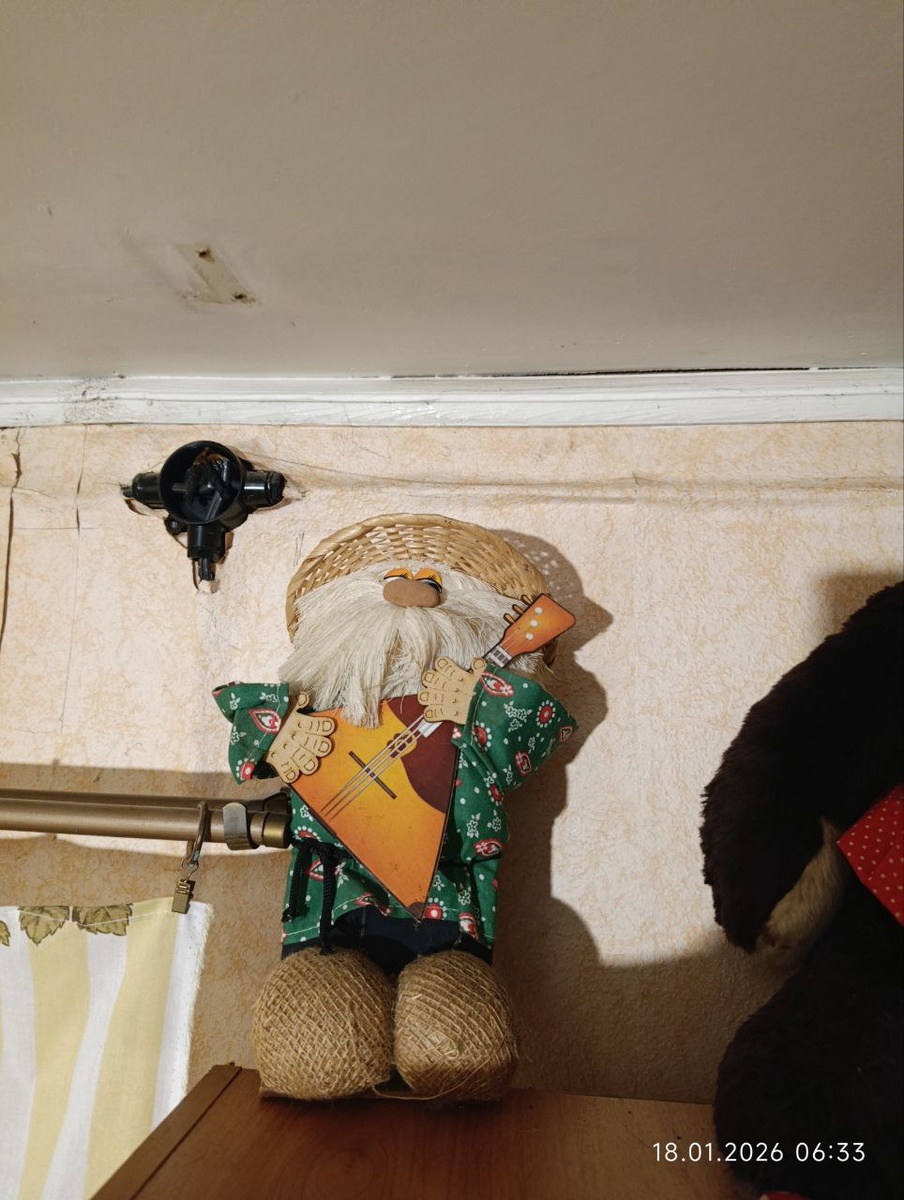 мой домовой