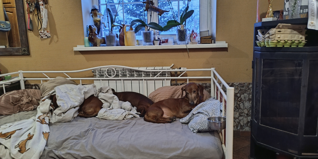 Четвертый день нового года