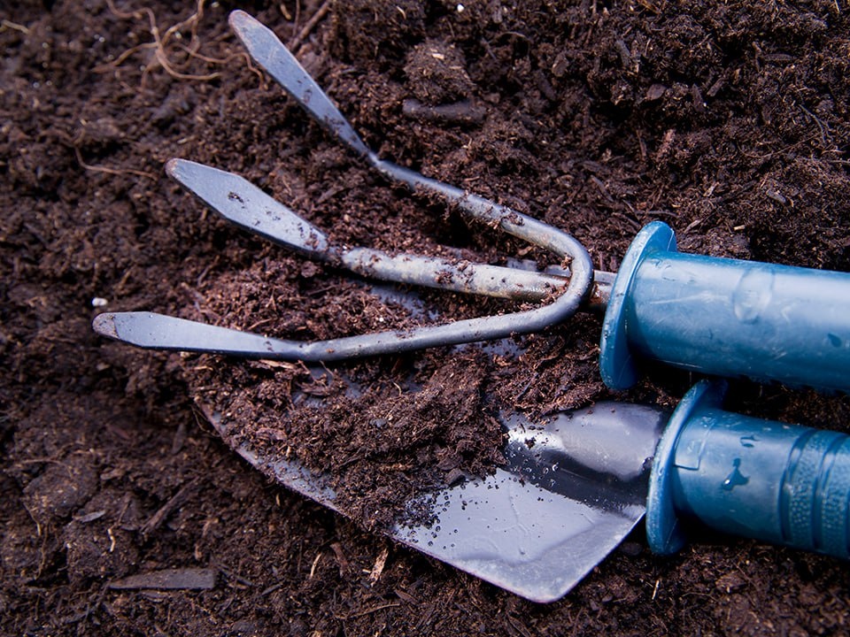    Фото: istockphoto.com/fotografiche
