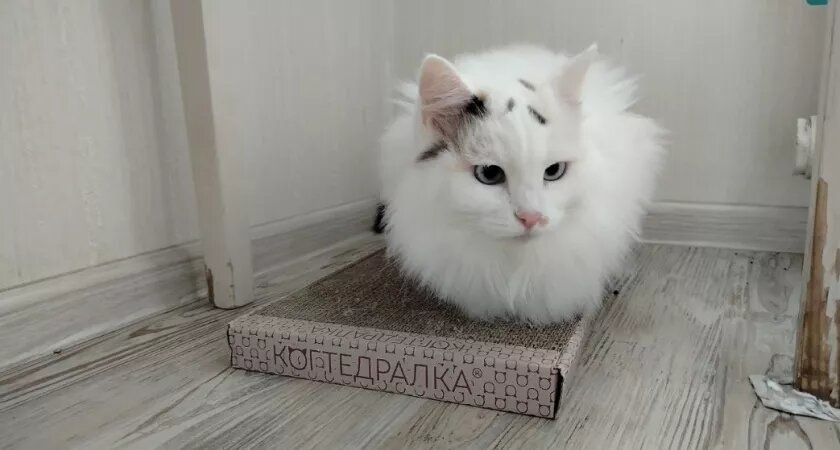    Архив редакции