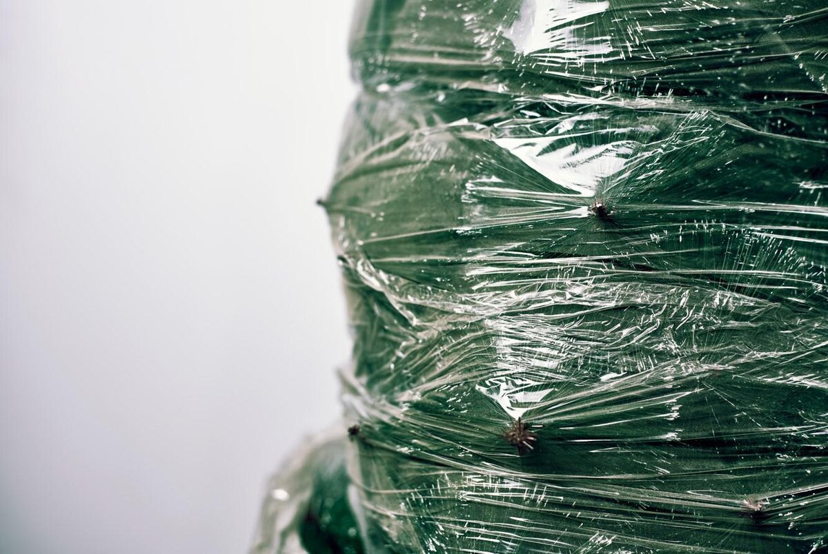    G.Tbov / Shutterstock / FOTODOM