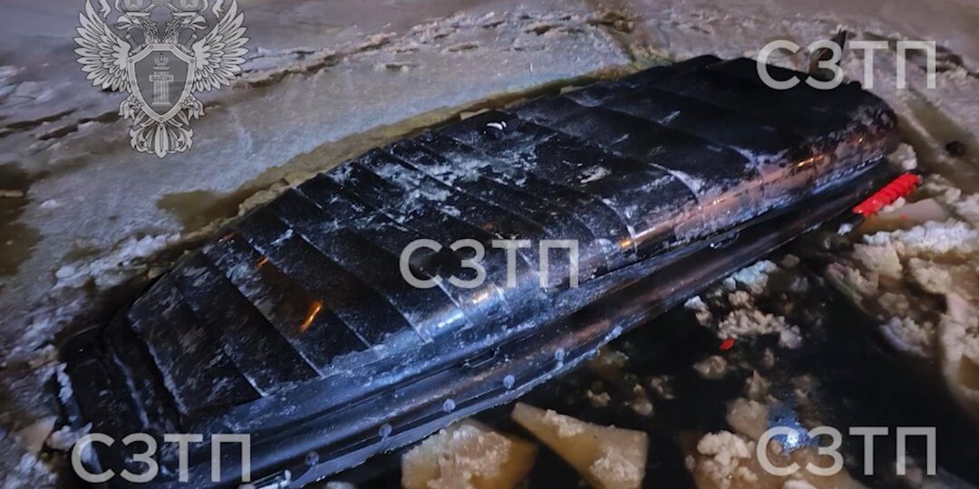 До 15 лет тюрьмы грозит капитану, потопившему аэролодку с людьми в Ленобласти