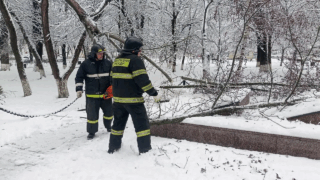    фото: max.ru/emnaumov Людмила Лата