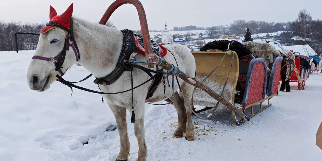 Чем удивил современный Суздаль