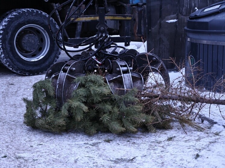     Фото: Юлия Боровикова («Вечерний Челябинск»)